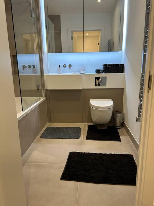 Modern 2 Bedroom Flat Near King'S Cross. Лондон Экстерьер фото